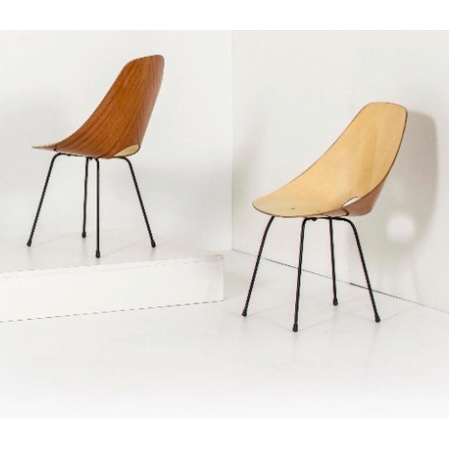 Iconic Medea chair designed in 1955 by Vittorio Nobili for Fratelli Tagliabue and winner of the Compasso D'Oro at the...