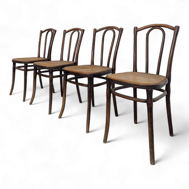 Dining Chairs from Thonet, Set of 4 For Sale - Image 9 of 9
