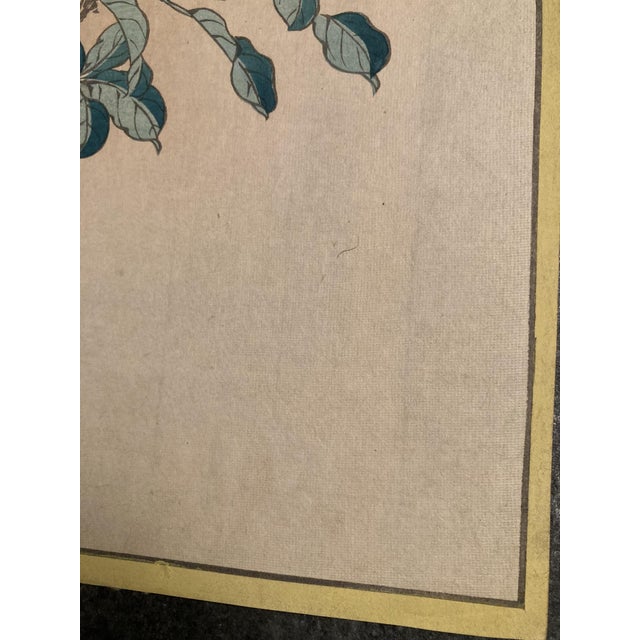 Nakayama Sūgakudō, Verdier Et Gardénia, 1859, Woodblock Print For Sale - Image 5 of 13