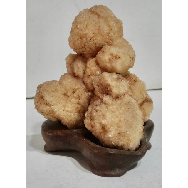 Gobi agate specimen in the raw natural form as clusters of small granular globes. A stacked cluster mounted into a fitted...