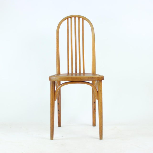 Oak Bentwood Chair by Michael Thonet, 1920s For Sale - Image 11 of 16
