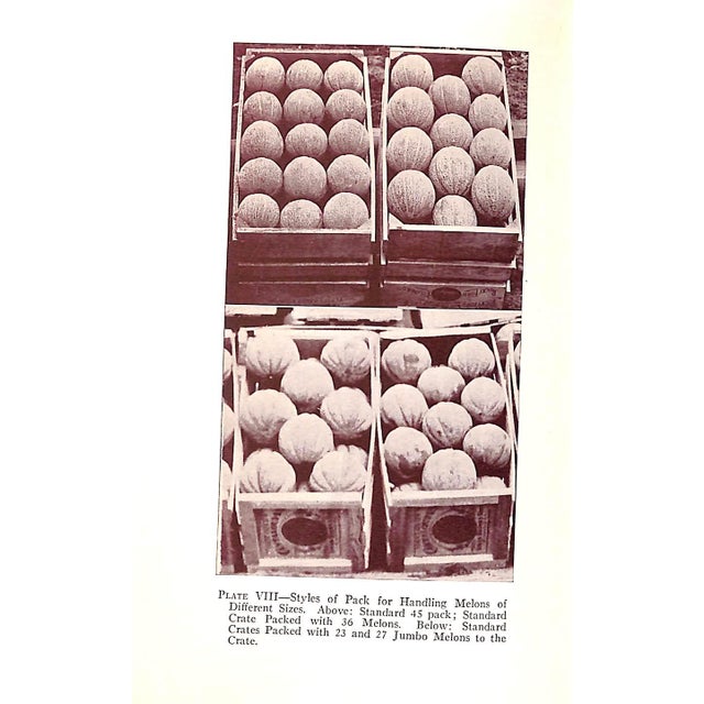 Paper "Muskmelon Production" 1928 Lloyd, John William For Sale - Image 7 of 8