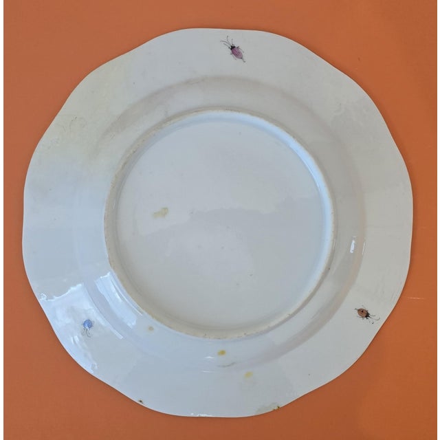 Early 19th Century English Bird & Insect Transferware Plates - Set of 6 For Sale - Image 11 of 13