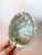 Mid Century Abalone Shell For Sale - Image 4 of 8