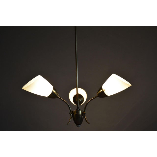 Mid-Century Chandelier in Brass and Frosted Glass, Czech, 1950s For Sale - Image 11 of 12
