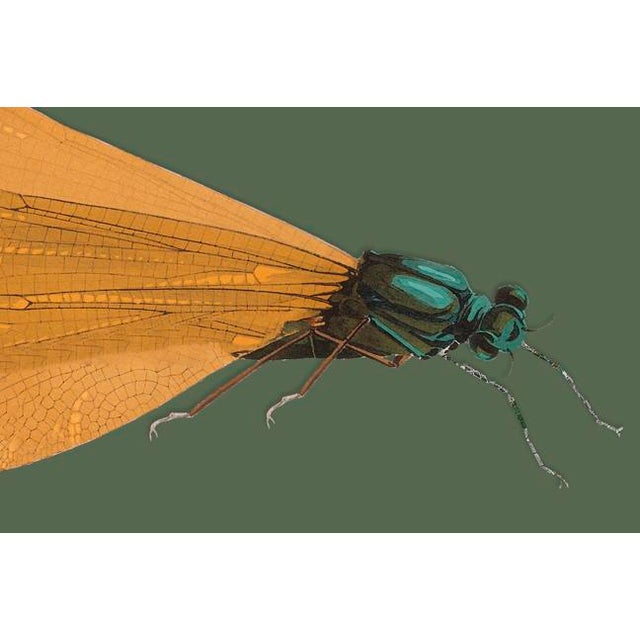 The series was produced by CFA editions from original pochior prints by E.A. Seguy. The series of insects that Seguy...