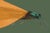 The series was produced by CFA editions from original pochior prints by E.A. Seguy. The series of insects that Seguy...