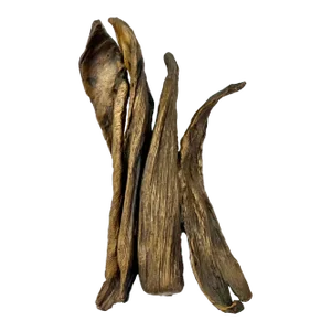 Early 21st Century Seena Donneson Cast Bronze Organic Husk Wall Mounted Abstract Textured Sculpture Seena Donneson