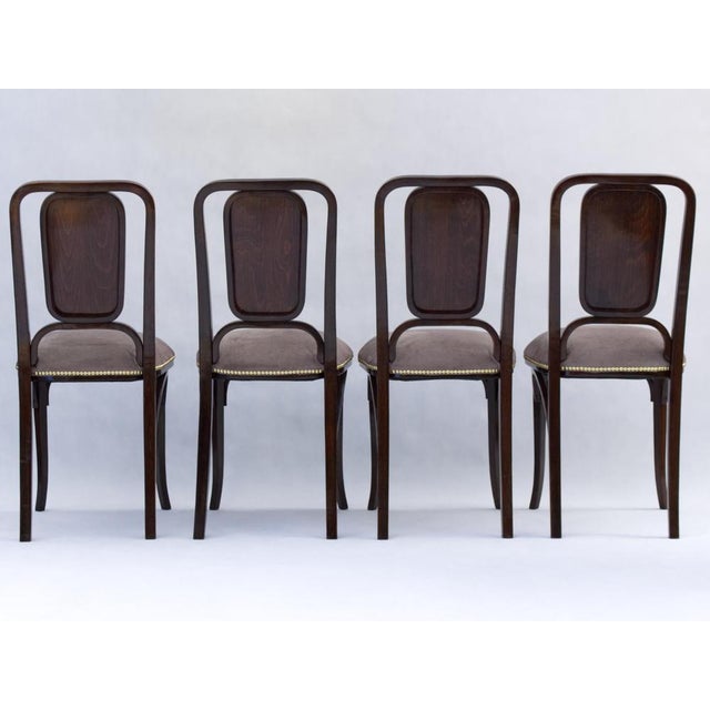 Art Noveau Bentwood Chairs from Thonet, 1905, Set of 4 For Sale - Image 3 of 11