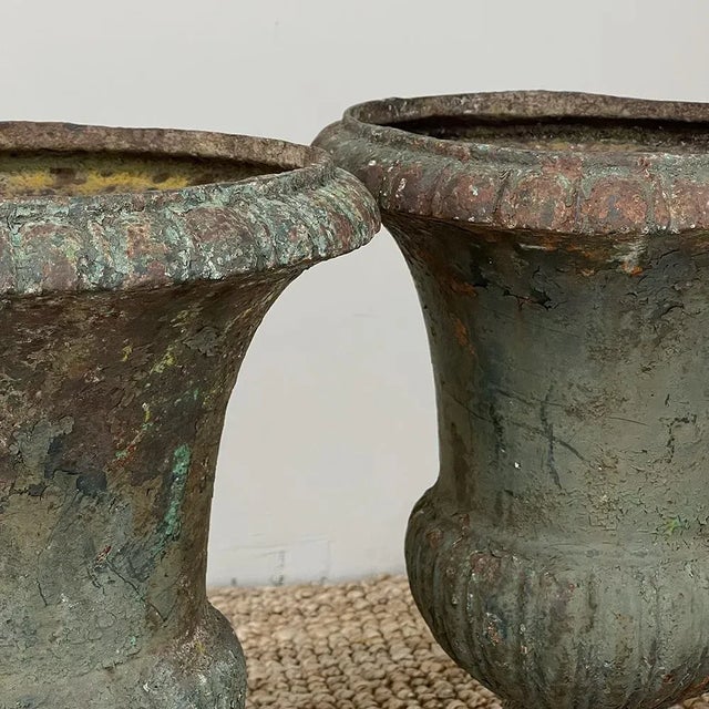 Pair 19th Century French Neoclassical Cast Iron Garden Vases ~ Jardinieres For Sale - Image 4 of 13