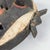 Early 20th Century Boa Mask For Sale - Image 4 of 6