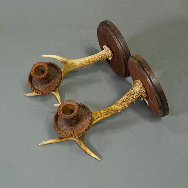 A Pair Great Black Forest Wall Sconces With Deer Antlers, Germany Ca. 1950 For Sale - Image 4 of 8