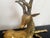 Bronze Deers from Maison Jansen, 1970s, Set of 2 For Sale - Image 3 of 12