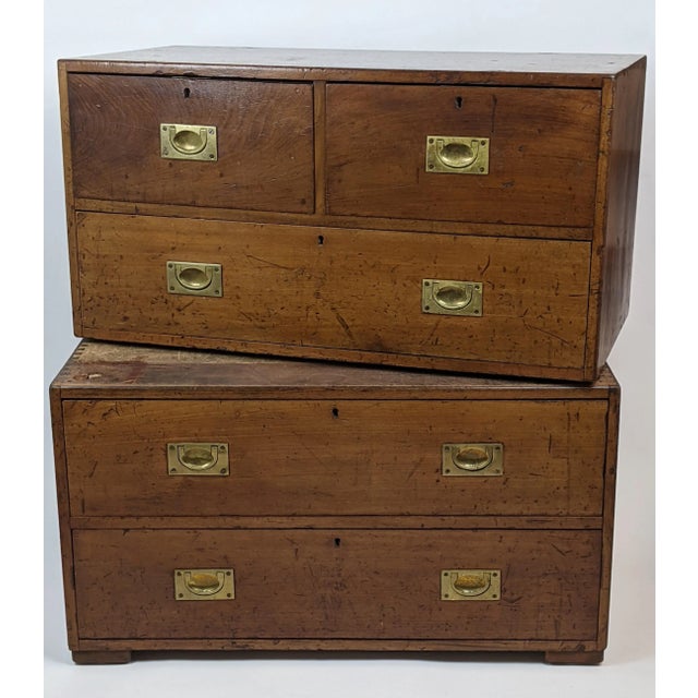 1800s British Campaign Chest Chairish