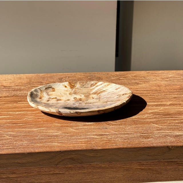 Contemporary Small Trinket Dish in Beige Petrified Wood with Black Spots For Sale - Image 3 of 9