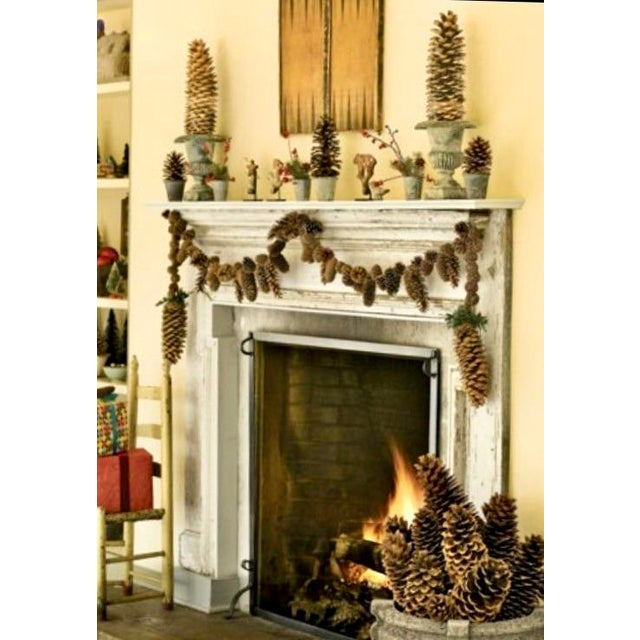 Wood Natural 15" Jumbo Pine Cones For Sale - Image 7 of 8