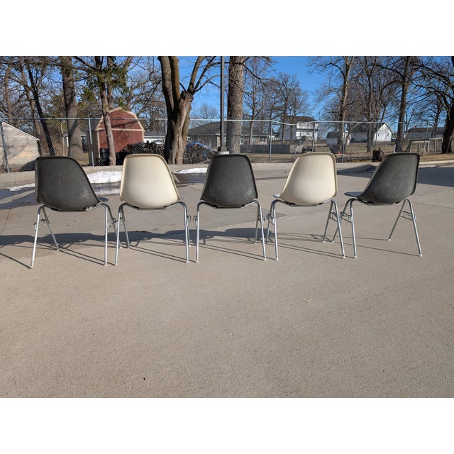 Metal 1960s Set of Eames for Herman Miller Fiberglass Shell DSS Chairs For Sale - Image 7 of 18