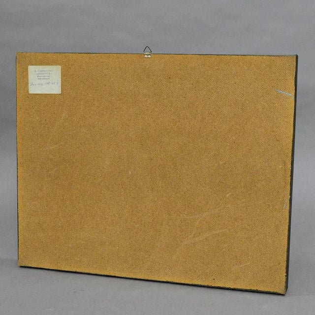 1960s School Teaching Display of the Insects of the Forest Edge For Sale - Image 5 of 6