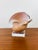 1980s Vintage Brown & White Sea Snail Sea Shell on Lucite Base For Sale - Image 5 of 6