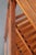 Antique Golden Oak Pie Pastry Display Cabinet For Sale - Image 9 of 16