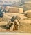 Mid 19th Century David Roberts, Views in the Holy Land. Baalbec. Architectural Print, Western Portico, Signed For Sale In New York - Image 6 of 12