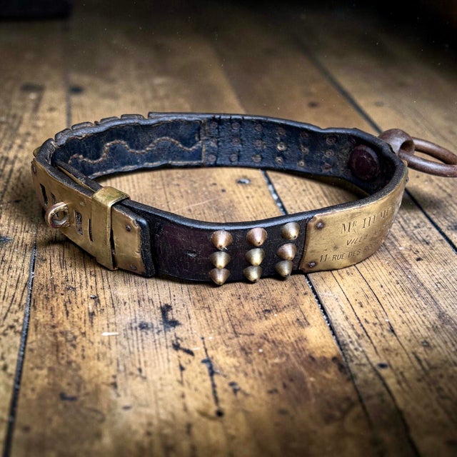 Black French Studded Leather Dog Collar with Brass Nameplate, 19th Century For Sale - Image 8 of 8