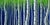 Deep Blue Forest presents a striking composition of slender, white birch trees set against a vibrant blue backdrop. The...