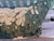 Early 18th Century A Large 18th Century Pillow With Verdure Tapestry For Sale - Image 5 of 7