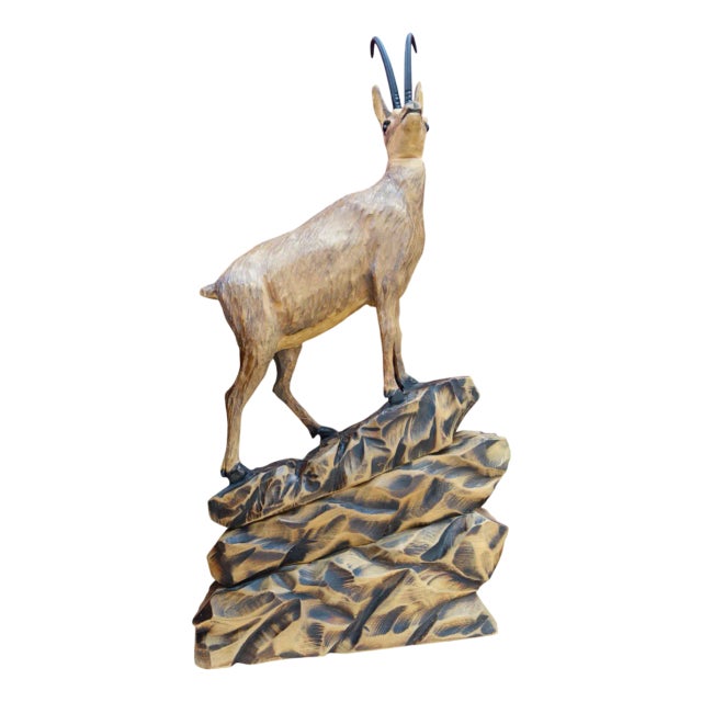Black Forest German Chamois Ibex For Sale