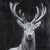 Black Deer II Collective Bap Vietnam Art Large-Scale Black White Wildlife Portrait For Sale - Image 8 of 11