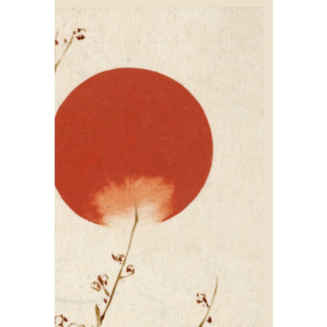 19th Century Sun and Plum Branches Japanese Botanical Fine Art Print by Shibata Zeshin — 8" X 12" For Sale In Buffalo - Image 6 of 9