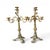 .A distinguished pair of early 20th-century bronze candelabras showcasing elegant craftsmanship and a richly developed...