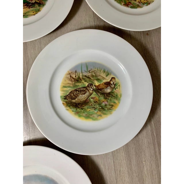 10" Vintage Wildlife Pheasant Porcelain Salad Plates by Heinrich Germany - Set of 6 For Sale - Image 4 of 7