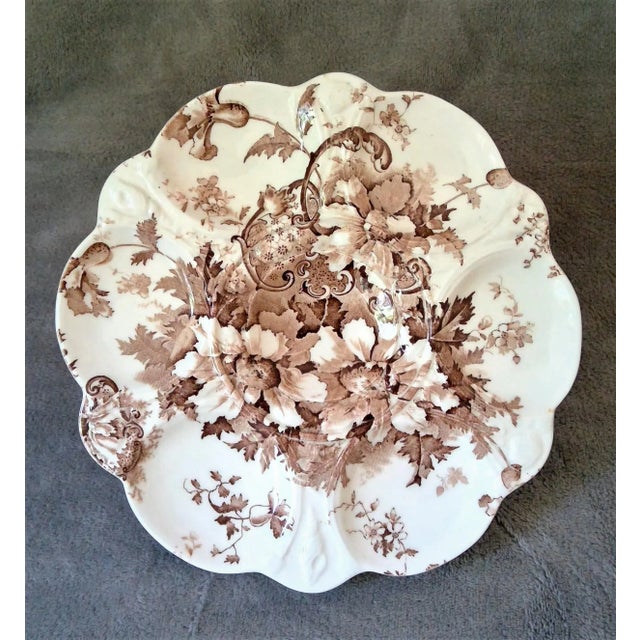 Only occasionally do you find English Staffordshire transferware in the form of an oyster plate. Brown transfer printed...