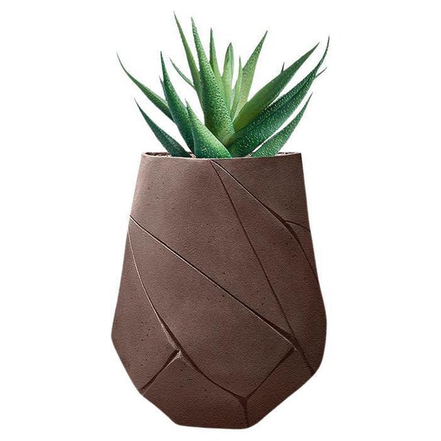 Baca XS Brown Planter by Indigenousus For Sale - Image 15 of 15