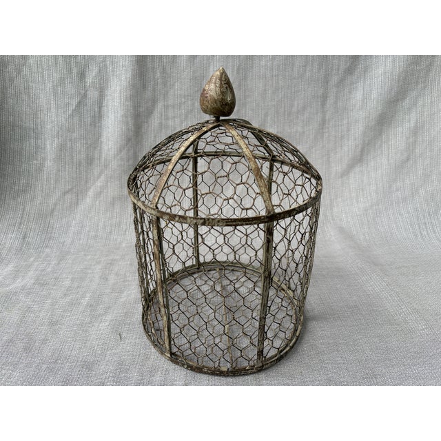 Metal Vintage Indoor Wire Birdcage Garden Cloche For Sale - Image 7 of 17