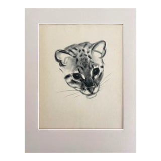 Vintage Clare Turlay Newberry Print in 14x18 Mat: 'Pounce - A Young Ocelot", EUC For Sale