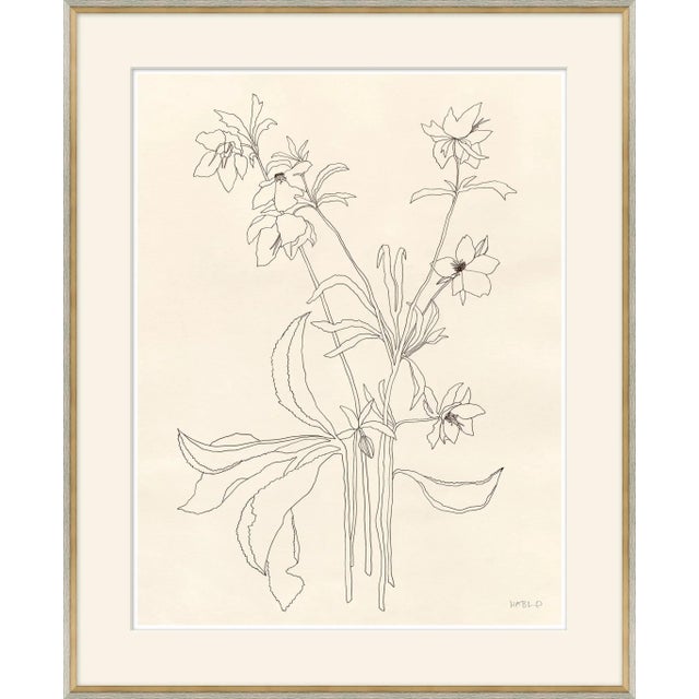 Contemporary Helebore Study II Framed Art Print by Susan Hable For Sale - Image 3 of 3