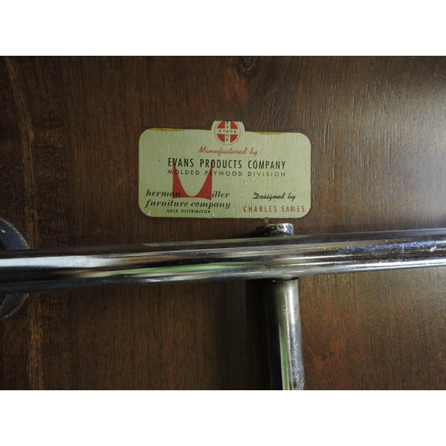 Early First Edition Eames Walnut Lcm Chair for Evans - a Pair For Sale - Image 11 of 13