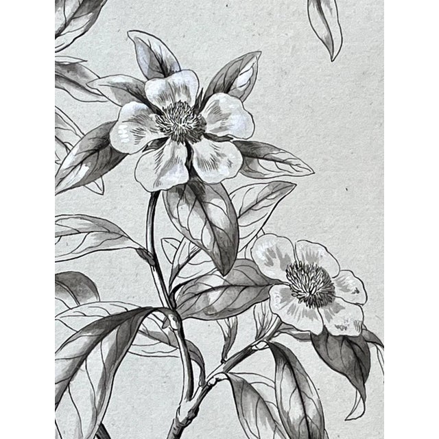 Original Antique Botanical Watercolor and Ink Painting by A. G. Weiss Circa 1865 For Sale - Image 4 of 8