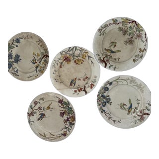 Antique Jules Vieillard Bordeaux "Nella" Faience Plates - Set of 5 1870’s For Sale