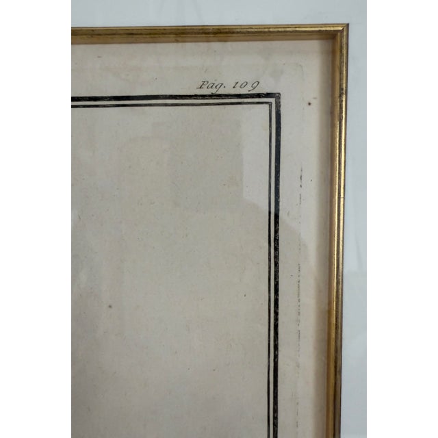 Pair of 18th Century Italian Bust Engravings (Antique Etchings) - Neoclassical Grand Tour Copperplate Prints by Casanova & Campana, Framed For Sale - Image 9 of 11