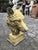 Cream English Cast Stone Wolf Head Bust For Sale - Image 8 of 17