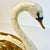Mid-Century Coastal Hollywood Regency Italian Capiz Shell Encrusted Tole Swan Sculpture. For Sale - Image 13 of 16