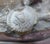 Antique French Figural Bronze of a Boy and Dog, 1920 For Sale - Image 3 of 18