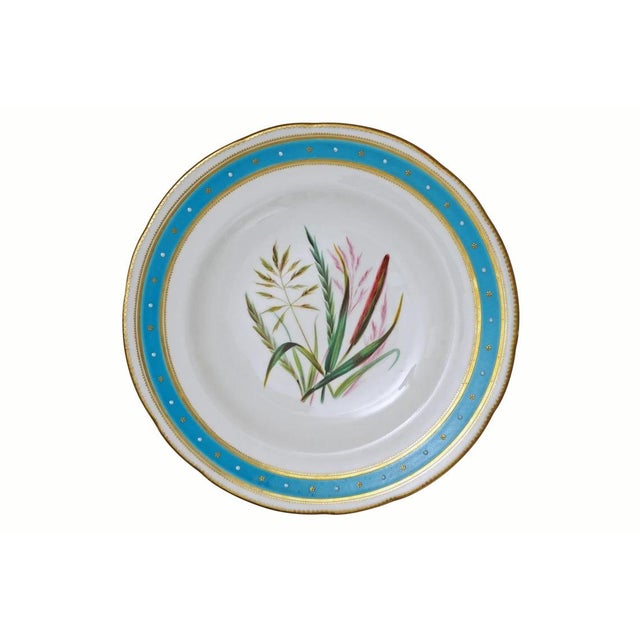 Minton 19th Century Minton Botanical Plates Jeweled Porcelain Turquoise Enamel - Set of 4 For Sale - Image 4 of 9