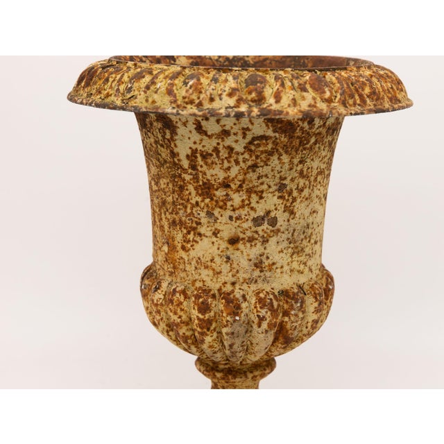 Single Rusty Cast Iron Urn, French Early 20th Century For Sale - Image 9 of 10