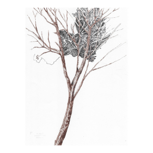 Ron Yrabedra Tree Landscape Drawing
