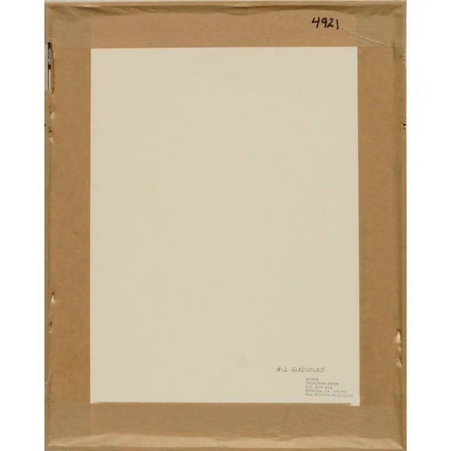 Gladiolas - Botanical Study by Deborah Eddy For Sale In Monterey, CA - Image 6 of 7