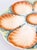 Late 19th Century Antique French Sarreguemines Majolica Oyster Plate, Circa 1870 For Sale - Image 5 of 7